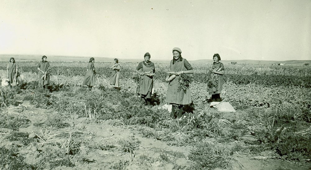 Old Sun School, Gleichen, Alta. - Girls pulling carrots. - [193-?]. P75-103-S7-158 from The General Synod Archives, Anglican Church of Canada.