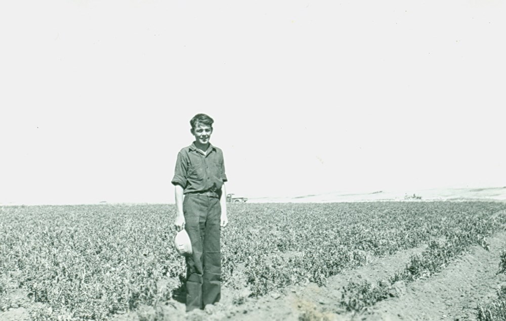 Students spent much of their time doing maintenance and chores for the school. Here, a student stands in the schools' potato field. Crops would be stored in the root cellar near the boiler room. August 13, 1949. P7538-1000 from the General Synod Archives, Anglican Church of Canada.