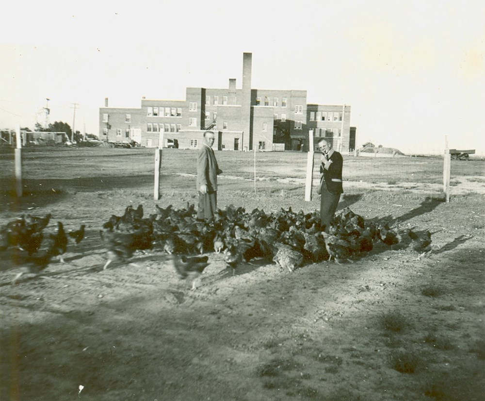 Rev. Cole and Frazier with hens - Old Sun School, Gleichen, Alberta. - June 1950. P7538-998 from The General Synod Archives, Anglican Church of Canada.